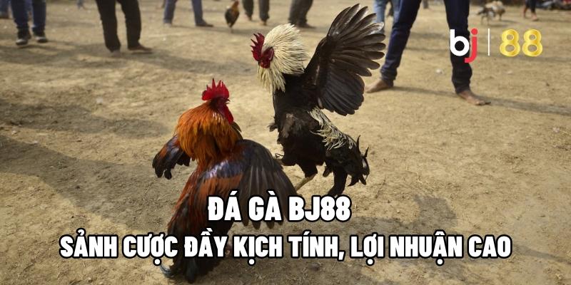 Đá Gà BJ88