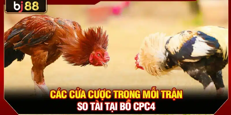 Các cửa cược trong mỗi trận so tài tại bồ CPC4