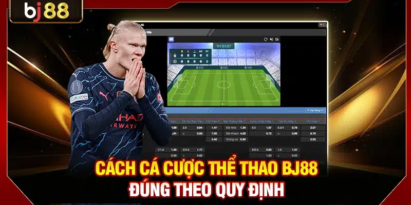 Cách cá cược thể thao BJ88 đúng theo quy định