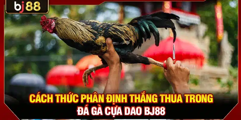 Cách thức phân định thắng thua trong đá gà cựa dao BJ88