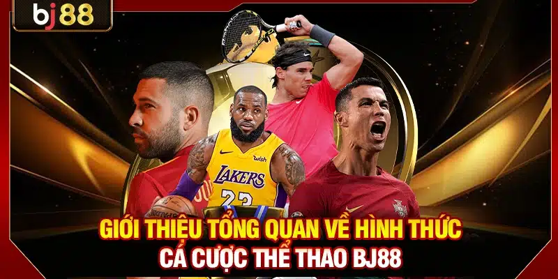Giới thiệu tổng quan về hình thức cá cược thể thao BJ88 