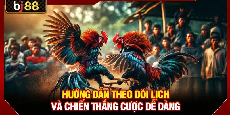 Hướng dẫn theo dõi lịch và chiến thắng cược dễ dàng