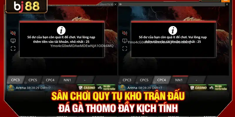Sân chơi quy tụ kho trận đấu đá gà Thomo đầy kịch tính