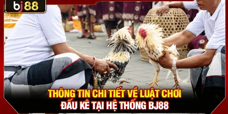 Thông tin chi tiết về luật chơi đấu kê tại hệ thống BJ88
