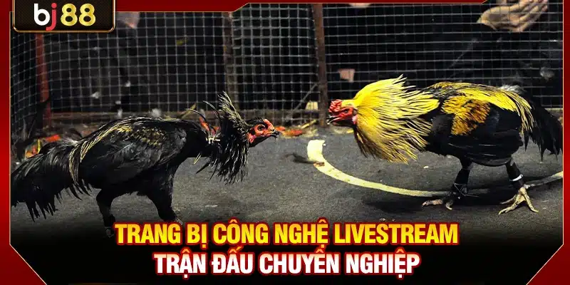 Trang bị công nghệ livestream trận đấu chuyên nghiệp